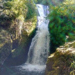 Meet your Posher, Wendy